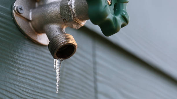 Best Sprinkler Systems  in Oak Ridge, FL