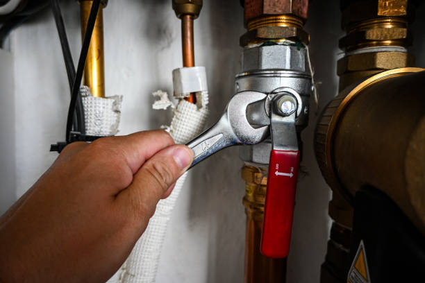 Best Plumbing Inspection Services  in Oak Ridge, FL